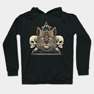 Triangle Cat Hoodie